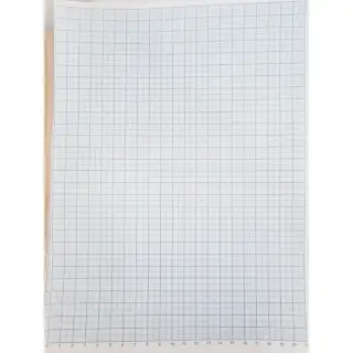 Hartie milimetrica, A4, set/100 ( Dany Cris )