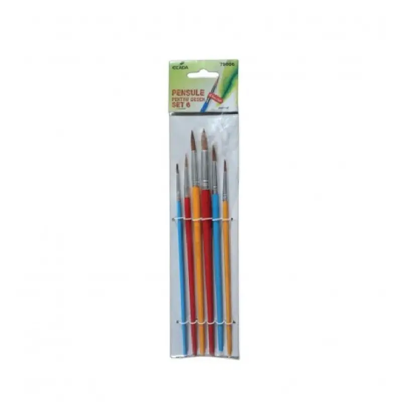 Set 6 pensule pictura varf rotund Ecada