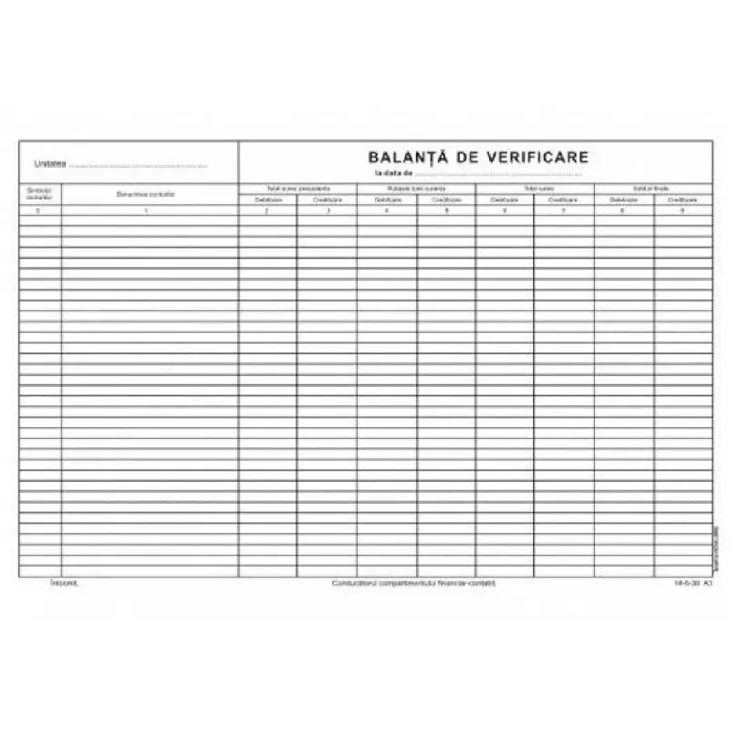 Balanta de verificare A3 ( Dany Cris )