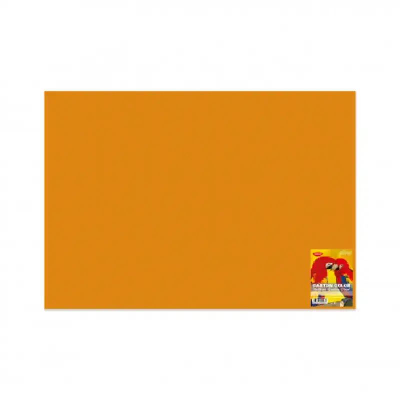 Carton Color Portocaliu 270G/MP 70x100 10 Coli Daco