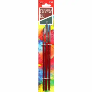 Pensula set 3 par ponei PN3 Daco
