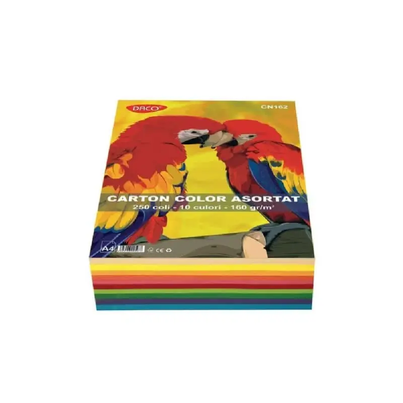 Carton Color Asortat A4 160g/m2 250 de coli 10 culori