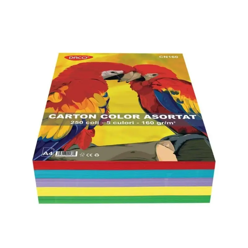 Carton Color Asortat A4 160g/m2 250 de coli 5 culori