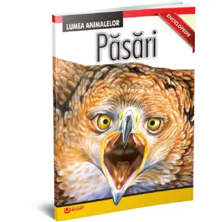 PASARI- Lumea animalelor