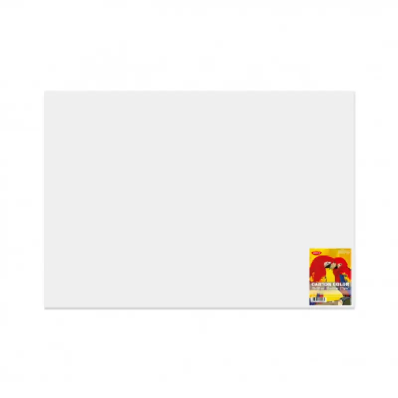 Carton Color Alb 270G/MP 70x100 10 Coli Daco
