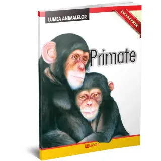 ​​​​​​​​​​​​​​Enciclopedie - Primate