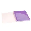 Caiet cu spirala si separatoare, STRIGO PADS Project Book PANDA, A4, Matematica 2