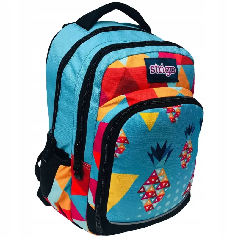 Ghiozdan Strigo FRUITS DAILY FD4, 31l, 39X25X14cm