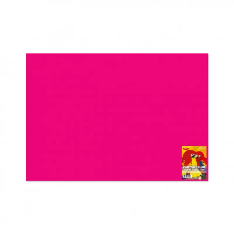 Carton Color Fucsia 270G/MP 70x100 10 Coli Daco