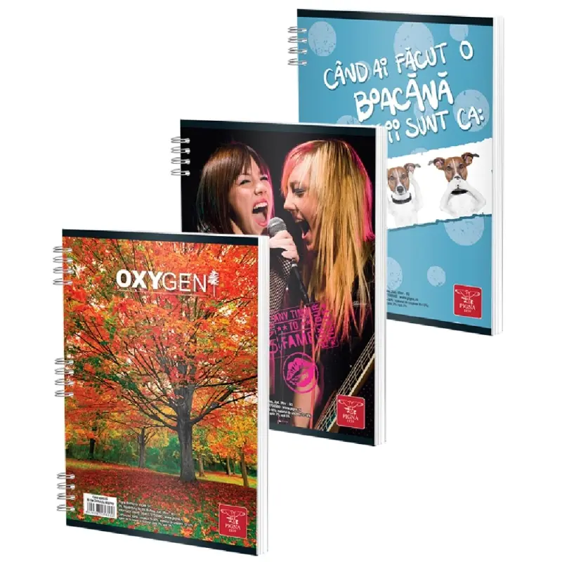 Caiet A5 80 file Matematica cu Spira Clasic