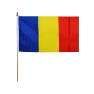 Steag panza de mana cu suport de lemn, Romania, 30×45 cm