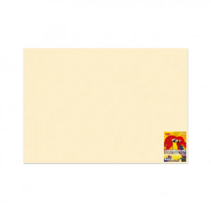 Carton Color Crem 270G/MP 70x100 10 Coli Daco