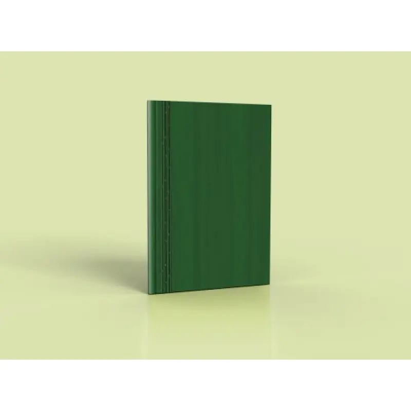 Agenda Nedatata A4 128 Pagini Verde
