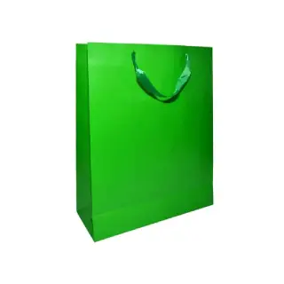 Punga cadou unicolora, 30x41x11 cm