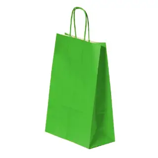 Punga cadou A4, 22x31x10cm, Verde deschis