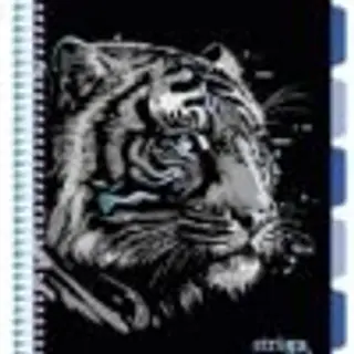 Caiet cu spirala si separatoare, STRIGO PADS Project Book TIGRU, A4, Dictando