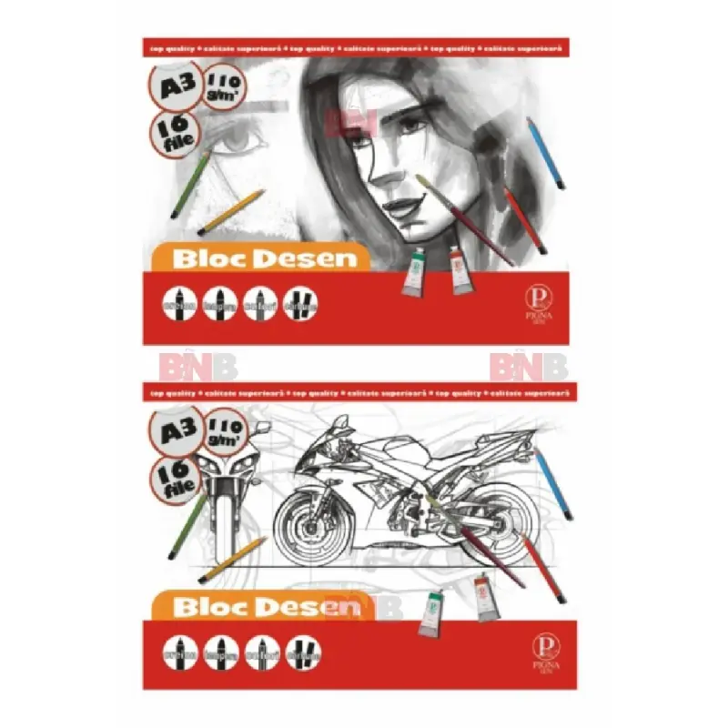 Bloc desen A3, 110g, 16 file, diverse modele, Pigna