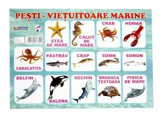 Plansa Pesti A4 din carton cu lacuire UV