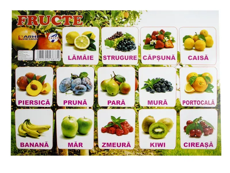 Plansa Fructe A4 din carton cu lacuire UV