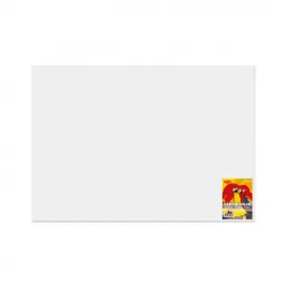 Carton Color Alb 270G/MP 70x100 10 Coli Daco