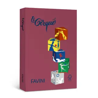 Carton Color 160G/MP A4 Bordo