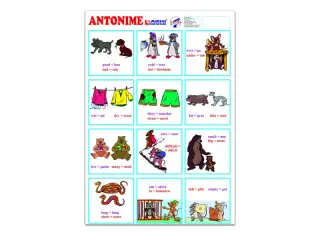 Plansa Antonime A4, Limba Romana/Engleza