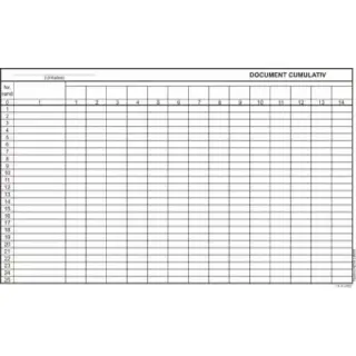 Document cumulativ A4 orizontal
