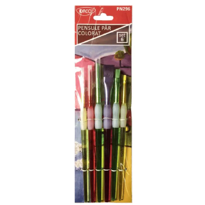 Pensule set 6 sintetic colorat