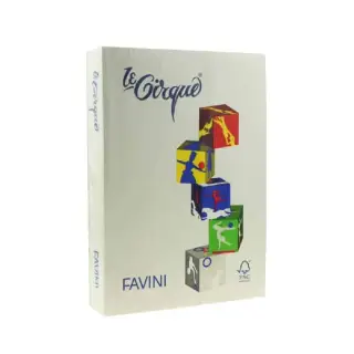 Carton Color 160G/MP A4 Gri - Favini (109)