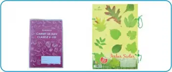 Carnet elev/Orar/Ierbar