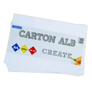 Carton alb A4, 200g, 100 coli/set