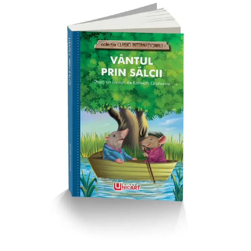 VANTUL PRIN SALCII