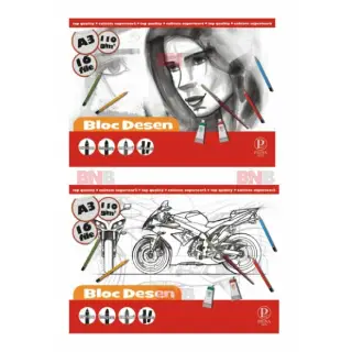Bloc desen A3, 110g, 16 file, diverse modele, Pigna