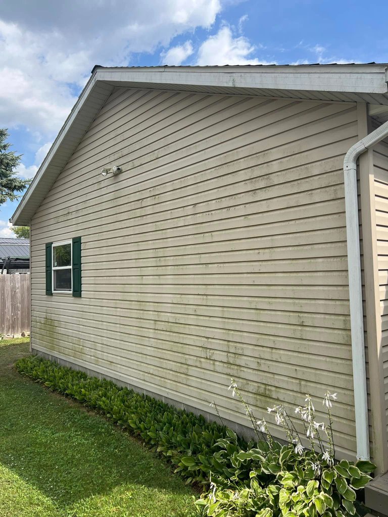 Before — House Washing in Arvada