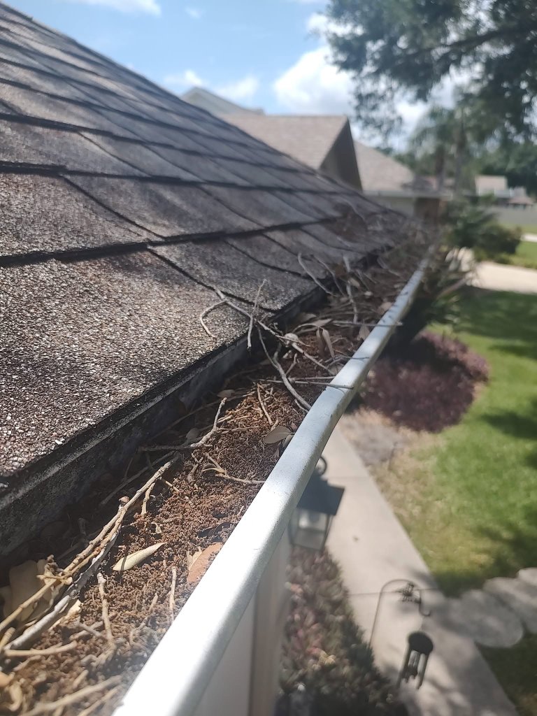 Before — Gutter Cleaning in Broomfield