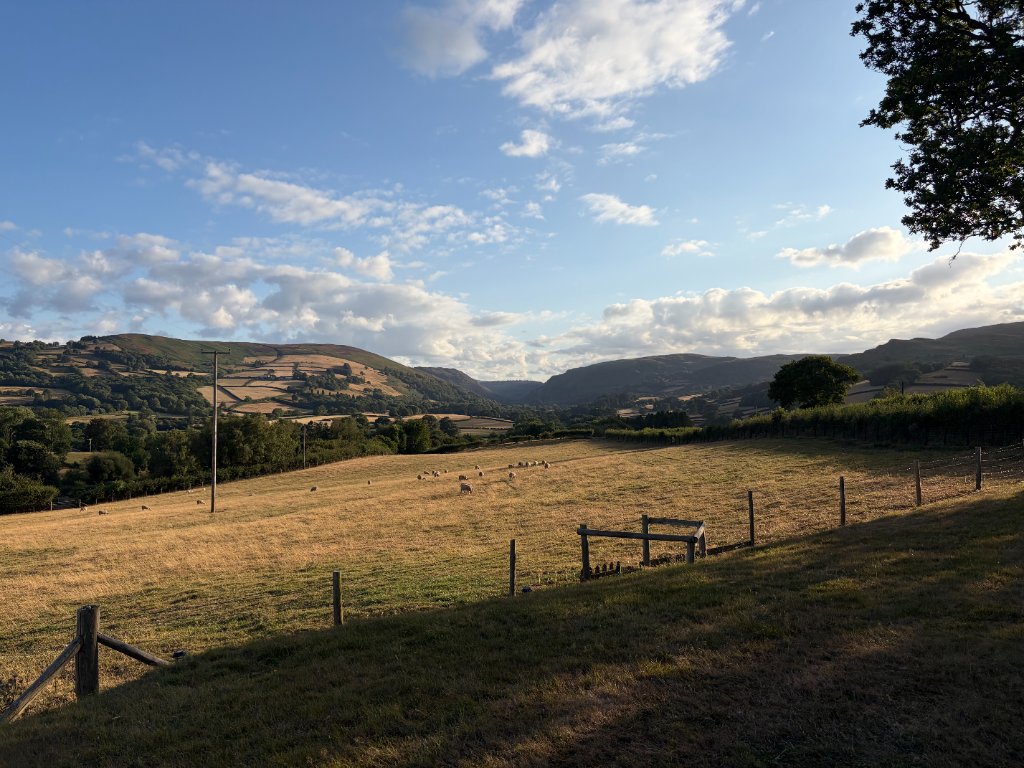 Surroundings