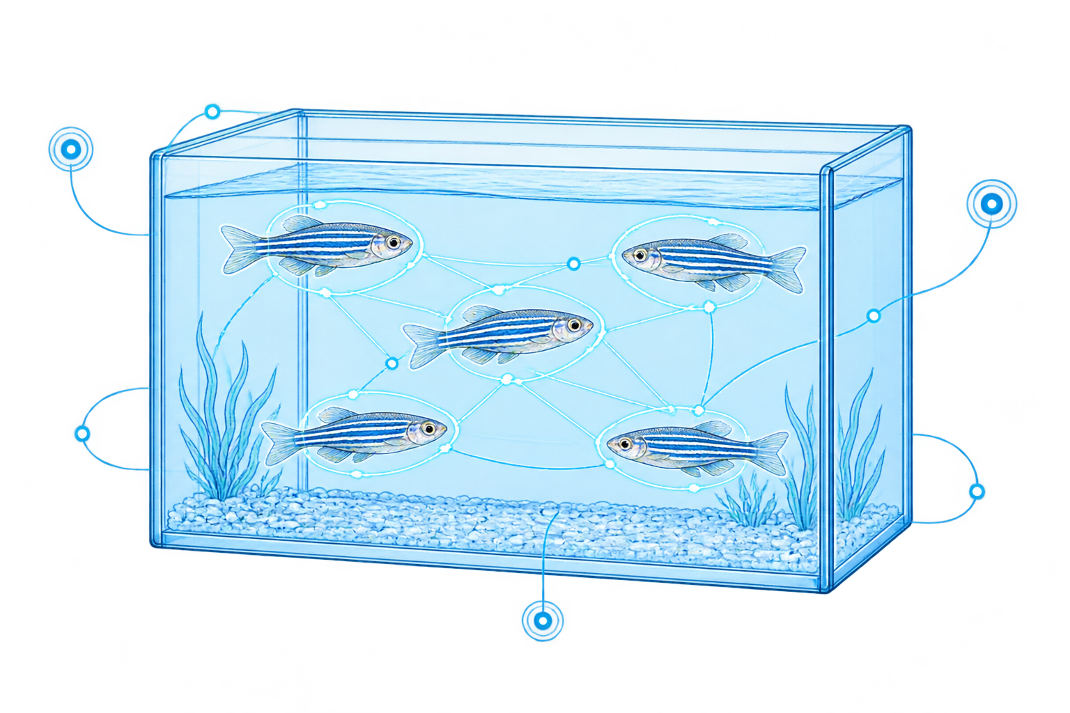 Digital zebrafish tank with networked fish nodes