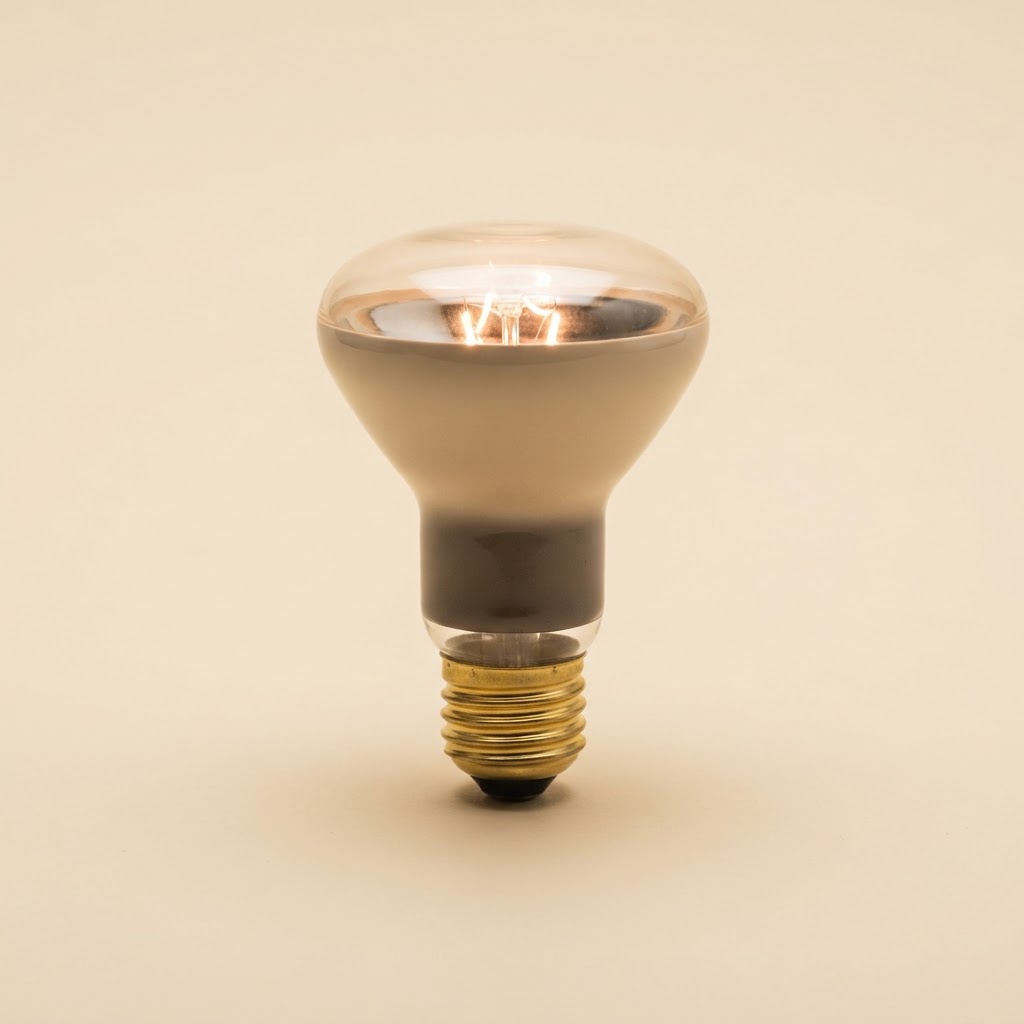 Exo Terra Basking Spot Lamp 100W