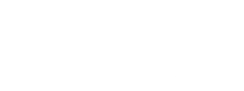 DSL Logo