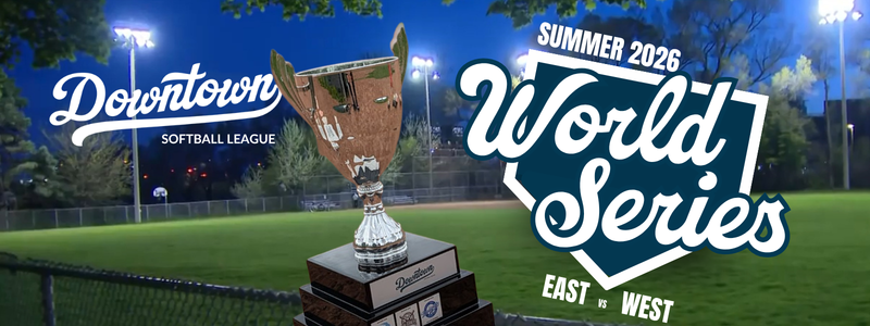 The DSL World Series
