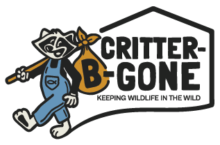 Critter-B-Gone LLC — Keeping Wildlife in the Wild