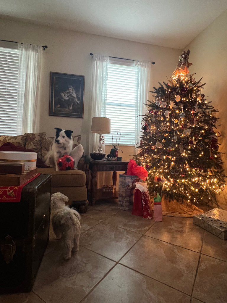 Living room with Christmas tree, two dogs, and warm holiday ambiance