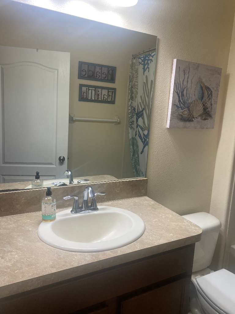 Bathroom vanity with beige stone counter, dark wood cabinet, and seashell art