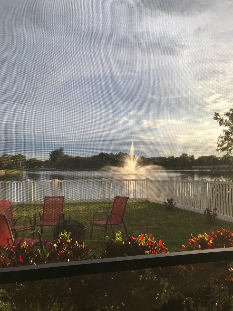 Backyard view with Adirondack chairs, lush lawn, and pond with fountain