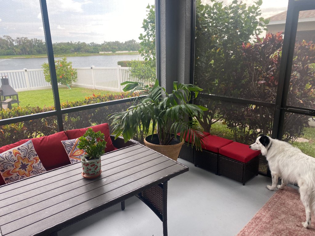 Screened lanai with red sofa, dark wood table, and potted palm overlooking the pond and white picket fence