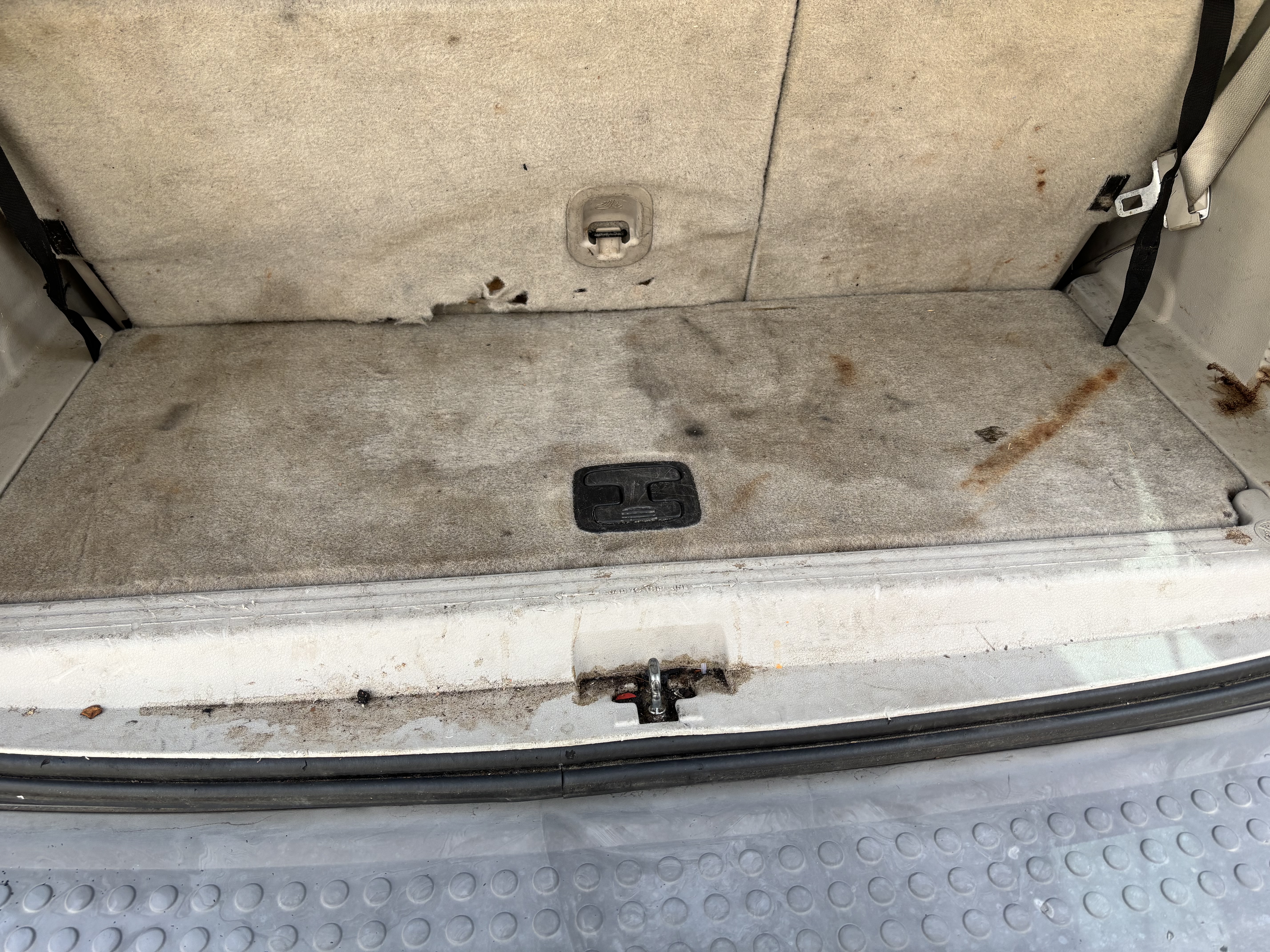 Cargo area deep cleaning