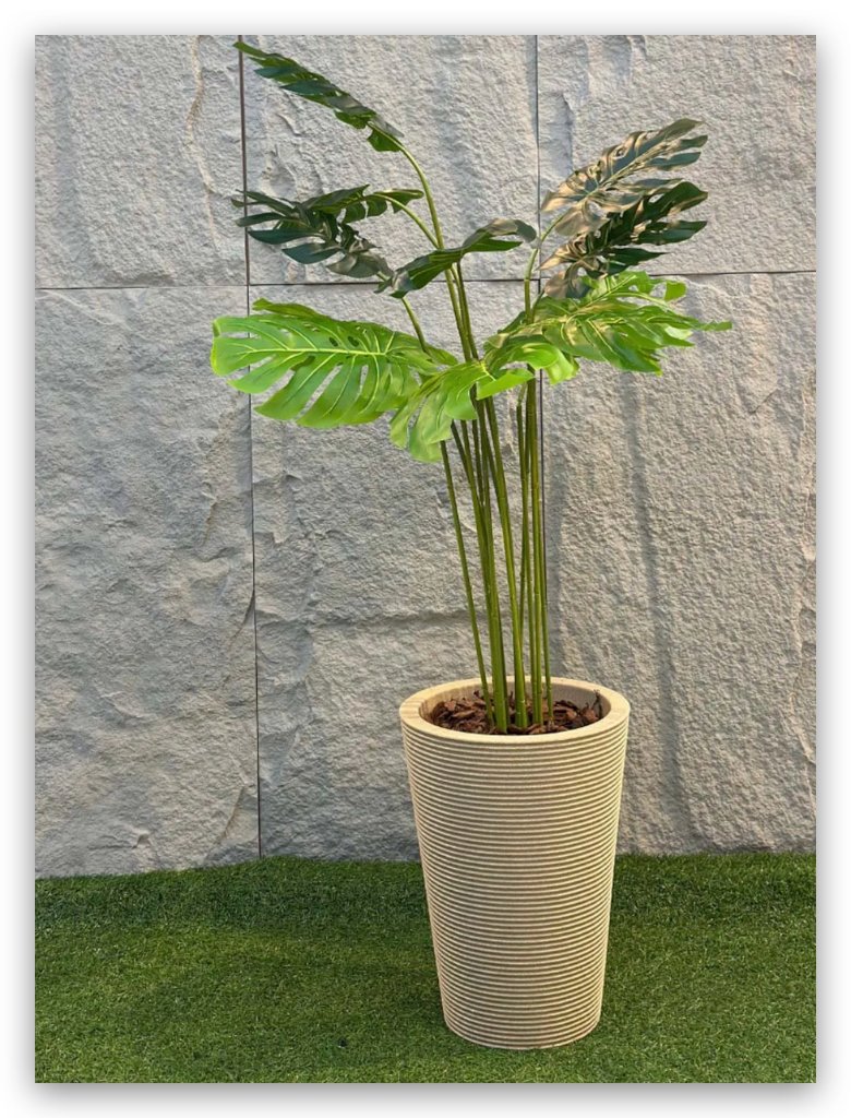 Plantas Permanentes