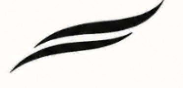 Forma Flo logo