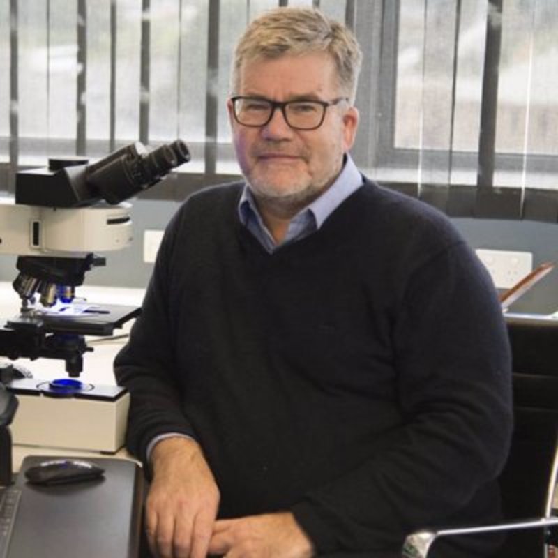 Portrait of Distinguished Professor Emeritus James Vickers