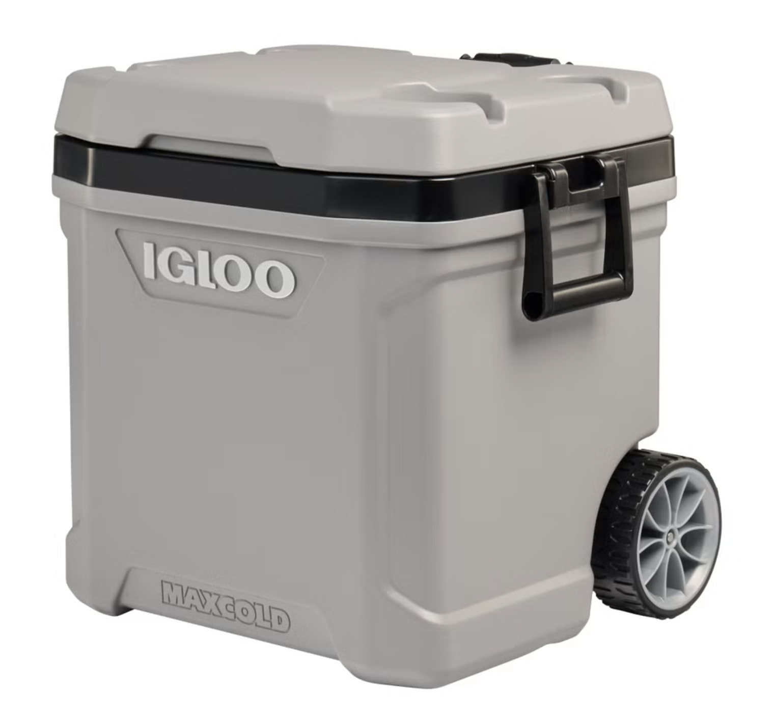Cooler